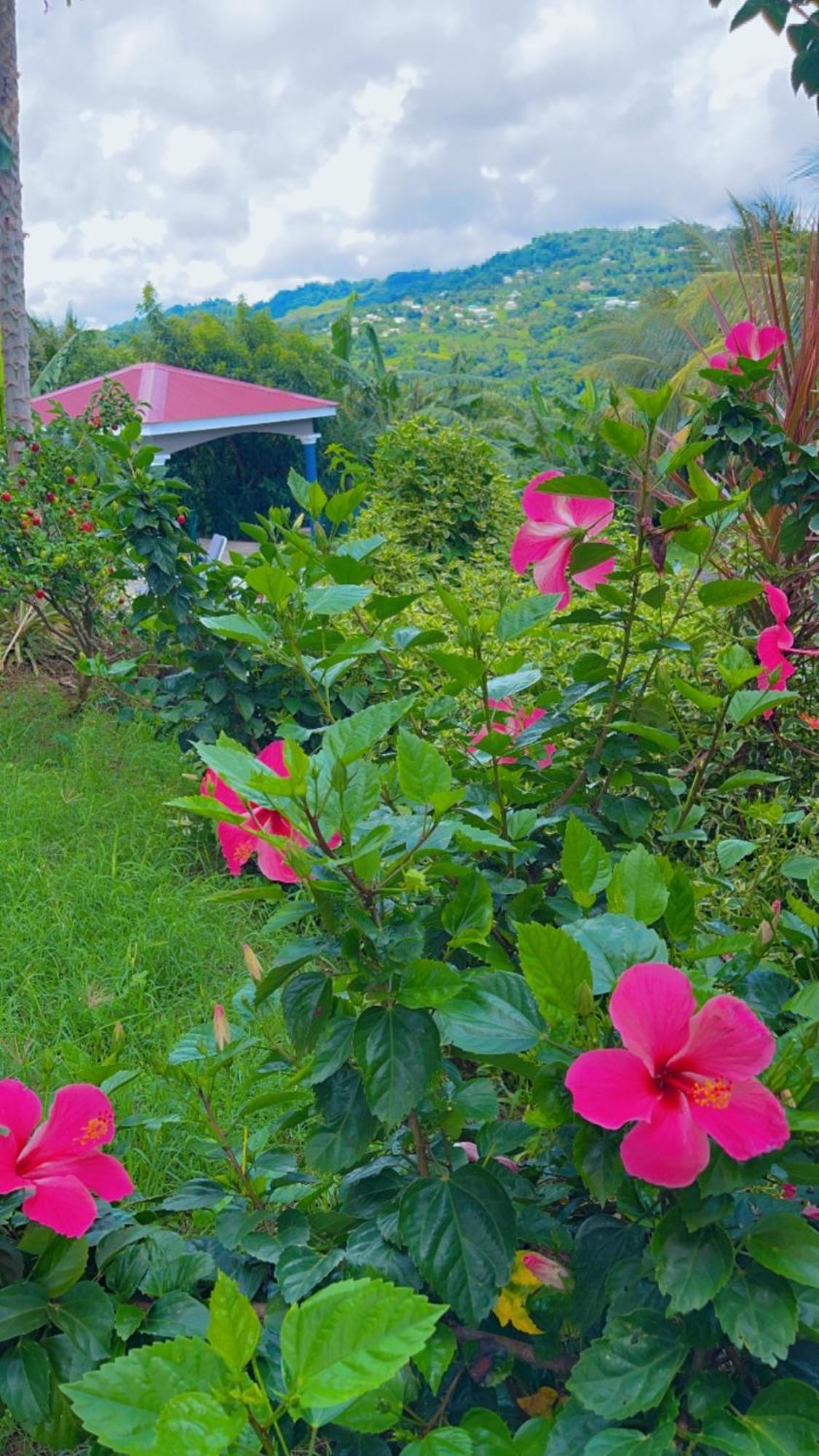 Residence Terre Et Passion Ducos Luaran gambar